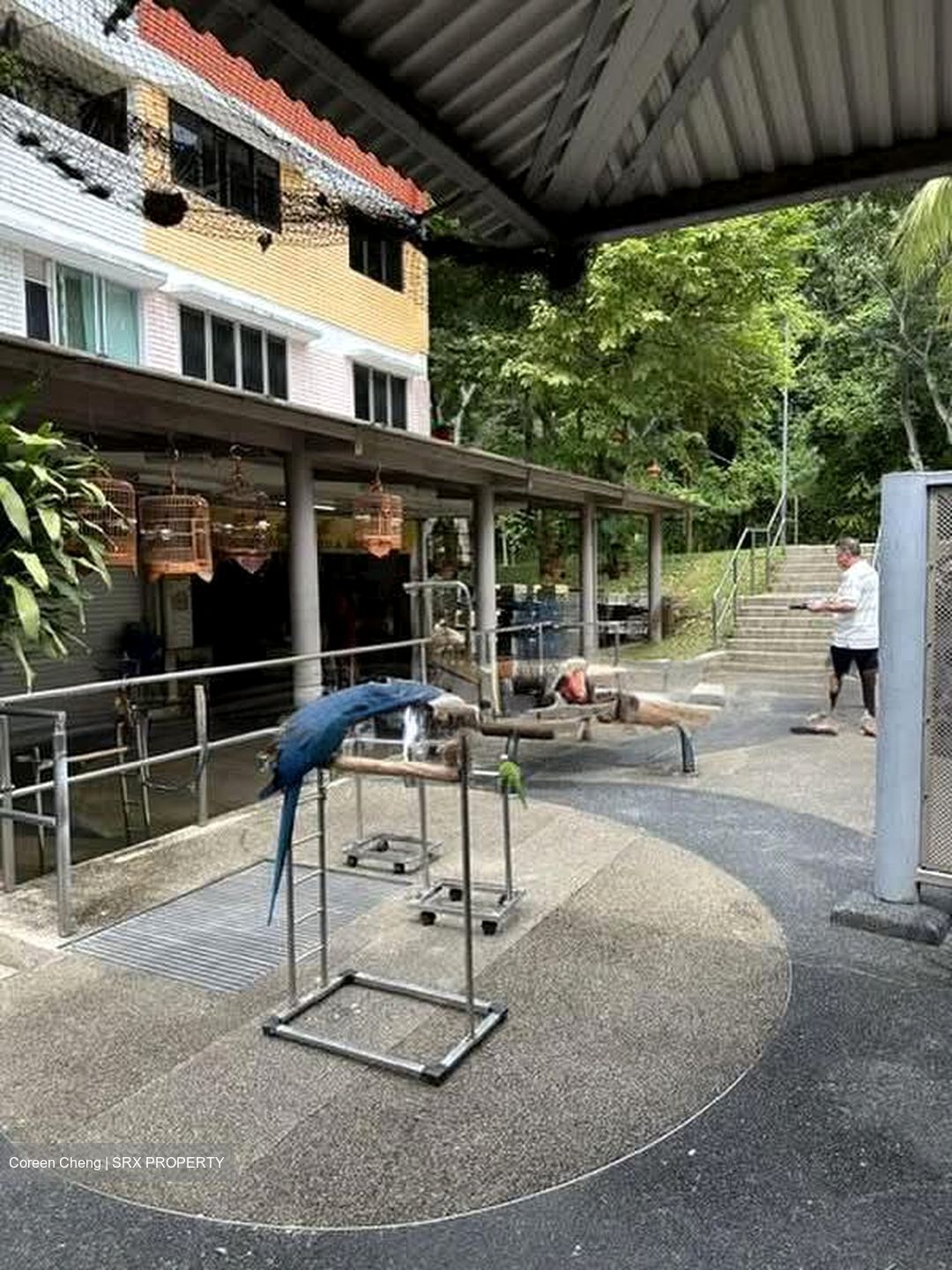 Telok Blangah Rise (D4), Retail #575414721